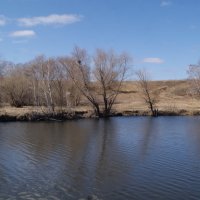 Местная речка в апреле. :: сергей ермошкин