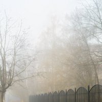 Туманное утро :: Dar(k) Life