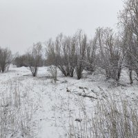 Снегопад :: Anna Ivanova