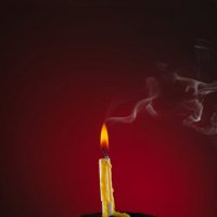 на год ближе к мудрости :: Denis Doroshenko