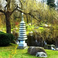 Весна в Японском саду Кадриорга :: Aida10 