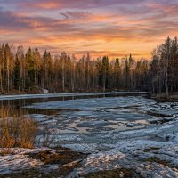 Весна :: Aleksey Afonin