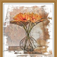 (°-°) :: Jakob Dick