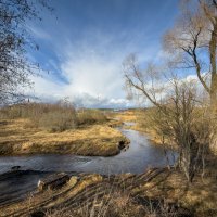 Весна, которую ждали :: Олег Дорошенко
