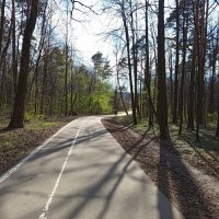 Апрельское :: Андрей Лукьянов