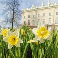 Екатерининский парк, г.Пушкин :: Марина Щуцких