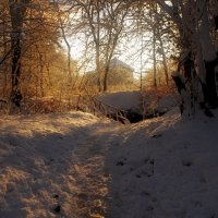 Первый снег :: Виктор 