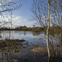 Разлившаяся Клязьма затопила пойму :: Сергей Цветков