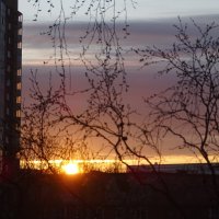 Утреннее небо :: Anna-Sabina Anna-Sabina