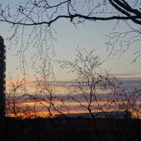 Утро, рассвет :: Anna-Sabina Anna-Sabina