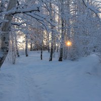 *** :: Андрей Дурапов