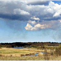 Весна. Прогулка по области. :: Валерия Комова