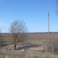 Весенний вид. :: Михаил Елочкин