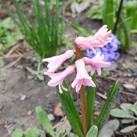 ,,, :: Сергей Тимоновский