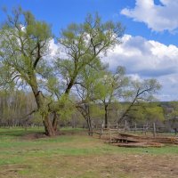 Ясная Поляна :: Олег Подлесных