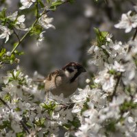 *** :: Александр. AVG100 ---