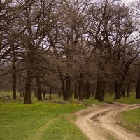 *** :: Яна Горбунова