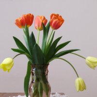 Тюльпаны... :: Татьяна Гнездилова