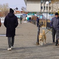 Трогательная встреча :: Галина Кан