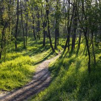 Тропа :: Игорь Протасов