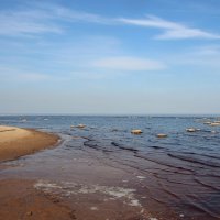 Ладожское Озеро :: Наталья Герасимова