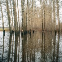 Разлив на заповедном лугу. Покрова на Нерли :: Вячеслав Владимирович