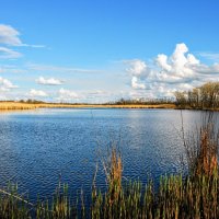 Ранняя весна. :: Владимир 