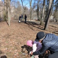 На Елагином острове. :: Ольга 