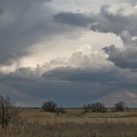 *** :: Александр Бекетов