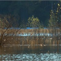 Весенний этюд :: Валентин Котляров