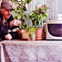 Апрель...Утром на кухне! :: Владимир 