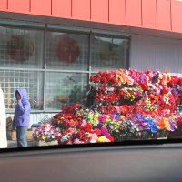 кому цветочки... :: Николай Иванович Щенов