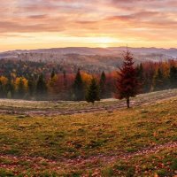 Отредактировано с ИИ :: Роман Савоцкий