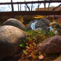 *** :: Геннадий Порохов