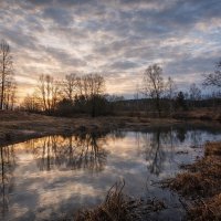 Река Молокча :: Денис Бочкарёв
