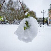 19 Апреля 2017 года город Белгород ... :: Ravile 