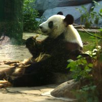 Диндин :: kolyeretka 