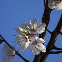 *** :: Александр. AVG100 ---