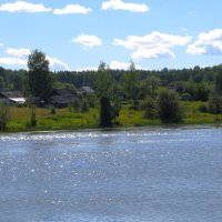 На пруду :: Лариса С.