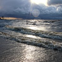 Весенние контрасты :: В.И 