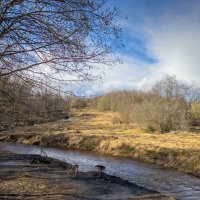 Весна идет :: Олег Дорошенко