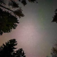 Звёздное небо в лесу. :: Станислав Мутовин