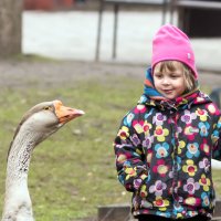 Первое знакомство. :: Владимир Безбородов