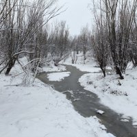 Снегопад :: Anna Ivanova