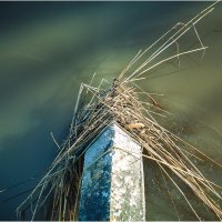 Суздаль. Каменка. Старая трава. :: Вячеслав Владимирович