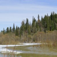 Весеннее половодье :: Нина северянка