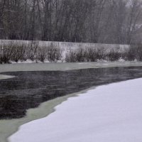 Апрельский снег :: Мишель71 