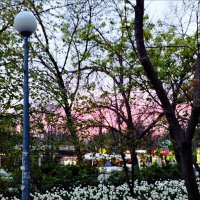 Вечереет! :: Надежда 