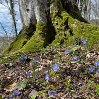 Окружение Калинового озера :: Tata Wolf