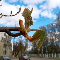 Начало :: Галина Бобкина